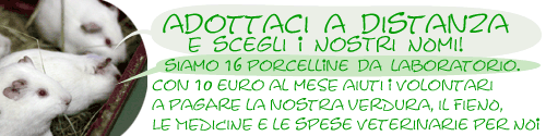 ADOTTAMI A DISTANZA!