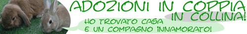 Adozioni in coppia in Collina